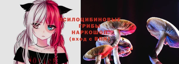 PSILOCYBIN Алексин
