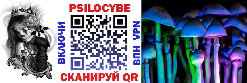 где найти   Каргат  Галлюциногенные грибы Magic Shrooms 