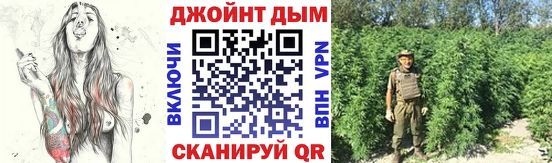Бошки марихуана сатива  купить   Каргат 
